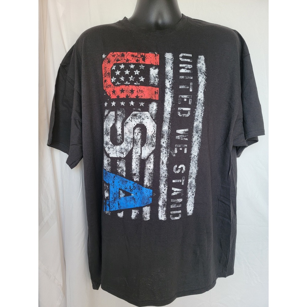 Delta Pro Weight Mens USA United We Stand Graphic T-Shirt Black 2XL Patriotic